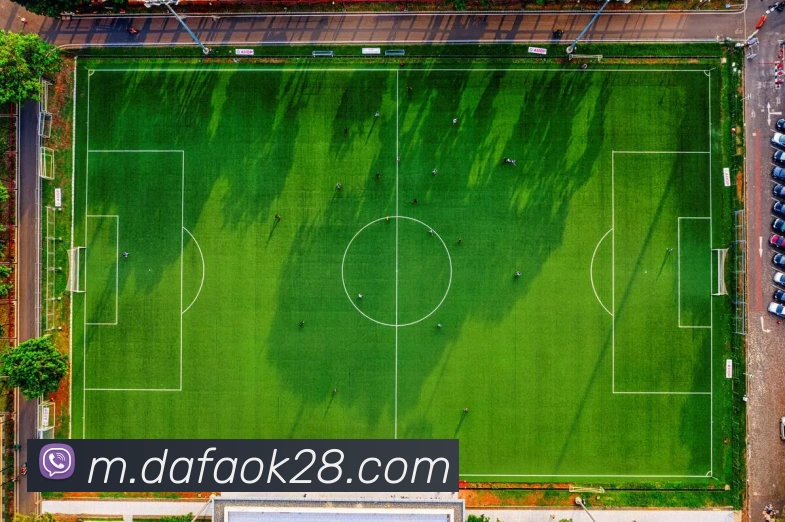 大发彩票服务体系